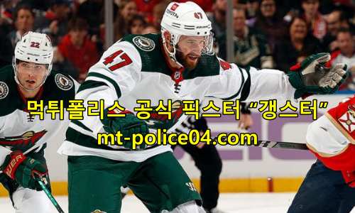 미네소타 4