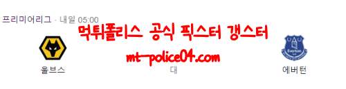 울버햄튼 에버튼 04