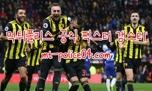 왓포드 4