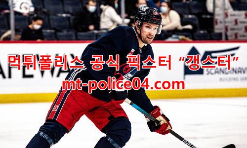 위니펙 제츠 4