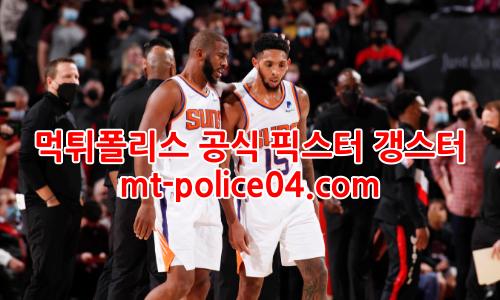 피닉스 4