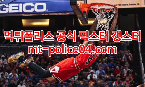 시카고 불스 4