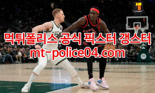 토론토 랩터스 4