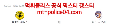 웰링턴피닉스 퍼스글로리 4