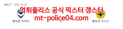 멜버른빅토리 웰링턴피닉스 4