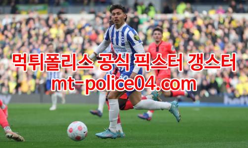 브라이튼 4
