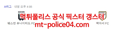 웨스턴 유나이티드 맥아서 4