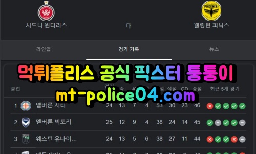 5월5일 호주A리그 시드니 웰링턴 분석 먹폴 퉁퉁이