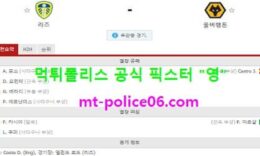 10월20일 EPL 분석 리즈 vs 울버햄튼 먹폴 픽스터 영 0 (0)