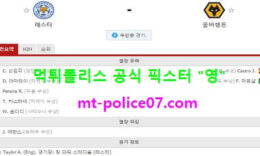 11월8일 EPL 분석 레스터시티 vs 울버햄튼 먹폴 픽스터 영 0 (0)