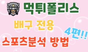 배구 스포츠분석