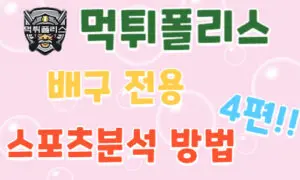 배구 스포츠분석
