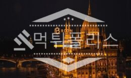 토토 신규사이트 비콘 신규 BCON-33.COM 사설스포츠 먹튀폴리스 2.5 (22)