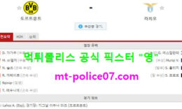 12월3일 챔피언스리그 분석 도르트문트 vs 라치오 먹폴 픽스터 영 0 (0)