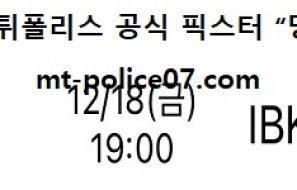 12월 18일 V리그 분석 흥국생명 vs IBK기업은행 먹폴 픽스터 망동