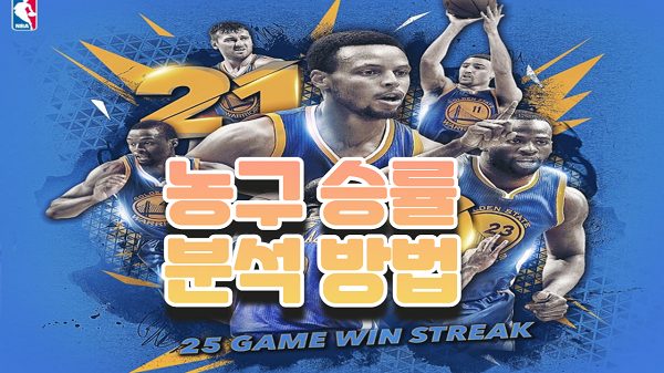농구분석