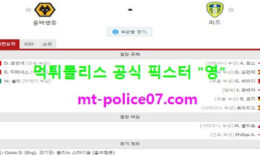 2월20일 EPL 분석 울버햄튼 vs 리즈 먹폴 픽스터 영 0 (0)