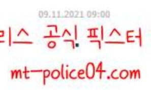 11월9일 NHL 뉴욕레인저스 VS 플로리다 분석 먹폴 갱스터