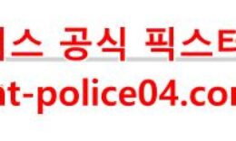 3월18일 NHL 세인트루이스 피츠버그 분석 먹폴 갱스터 0 (0)