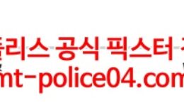 4월7일 NHL 워싱턴 탬파베이 분석 먹폴 갱스터 0 (0)