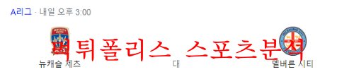 뉴캐슬제츠멜버른시티
