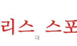 11월5일 호주 A리그 멜버른시티FC  퍼스글로리FC 분석 먹튀폴리스 0 (0)