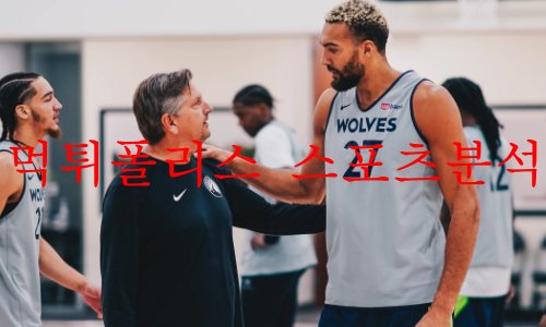 미네소타팀버울브스
