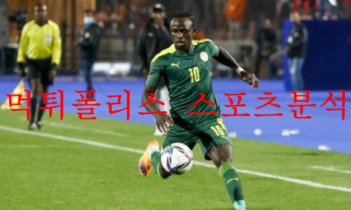 세네갈