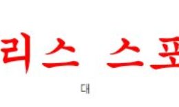 2월11일 호주A리그 웨스턴시드니 원더러스FC 시드니FC 분석 먹튀폴리스 0 (0)