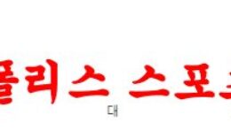 3월31일 호주A리그 웨스턴시드니 애들레이드 해외축구분석 먹튀폴리스 0 (0)