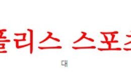 4월29일 호주A리그 시드니FC 뉴캐슬 유나이티드 제츠FC 축구분석 먹튀폴리스 0 (0)
