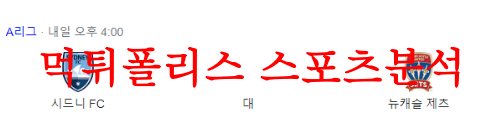 시드니FC뉴캐슬제츠