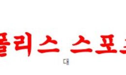 4월7일 호주A리그 애들레이드 유나이티드FC 시드니FC 축구분석 먹튀폴리스 0 (0)