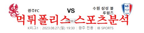 광주수원삼성