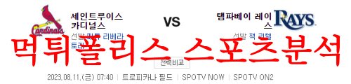 세인트루이스탬파베이