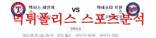 텍사스미네소타