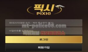 픽시
