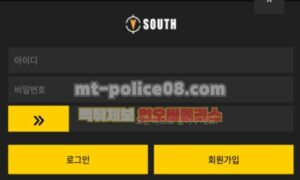 사우스