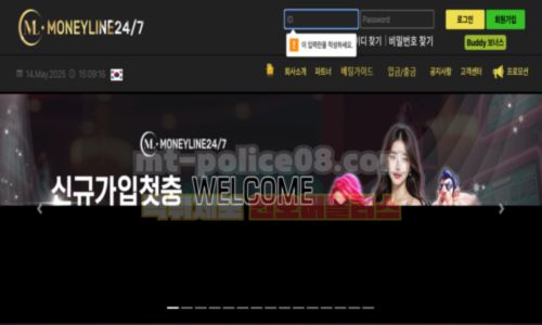 머니라인