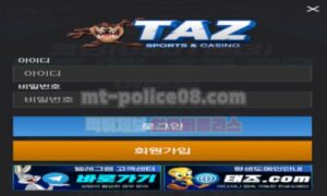 태즈