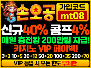 손오공 토토