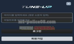 튠업