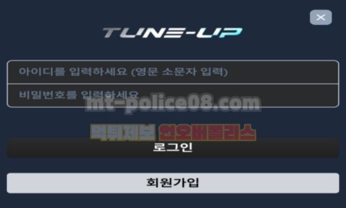 튠업