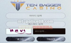 텐베거
