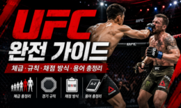 UFC 규칙 완전 정리 | 체급·라운드·판정 기준·용어 총정리 4.7 (88)