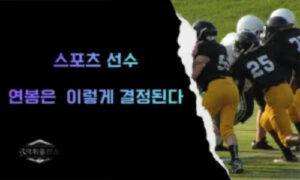 스포츠 연봉