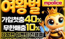 여왕벌벳 메이저놀이터 No.1 먹튀폴리스에 상륙완료 – 보증금 5억원 예치완료 0 (0)