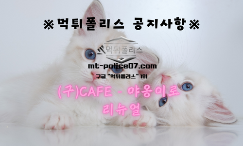 야옹이