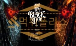 블랙독 먹튀사이트 토토먹튀사이트 먹튀검거 먹튀폴리스 제대로 환전먹튀검거 2.2 (24)