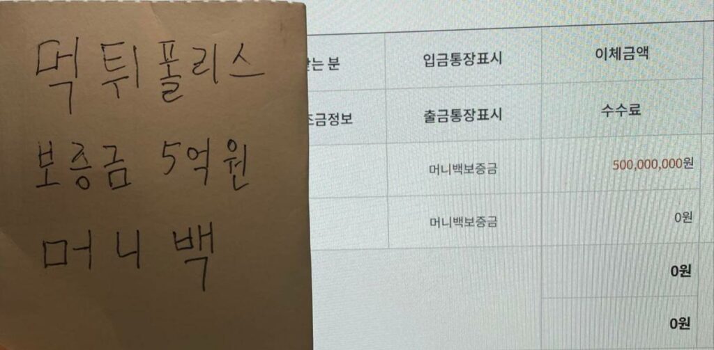 머니백